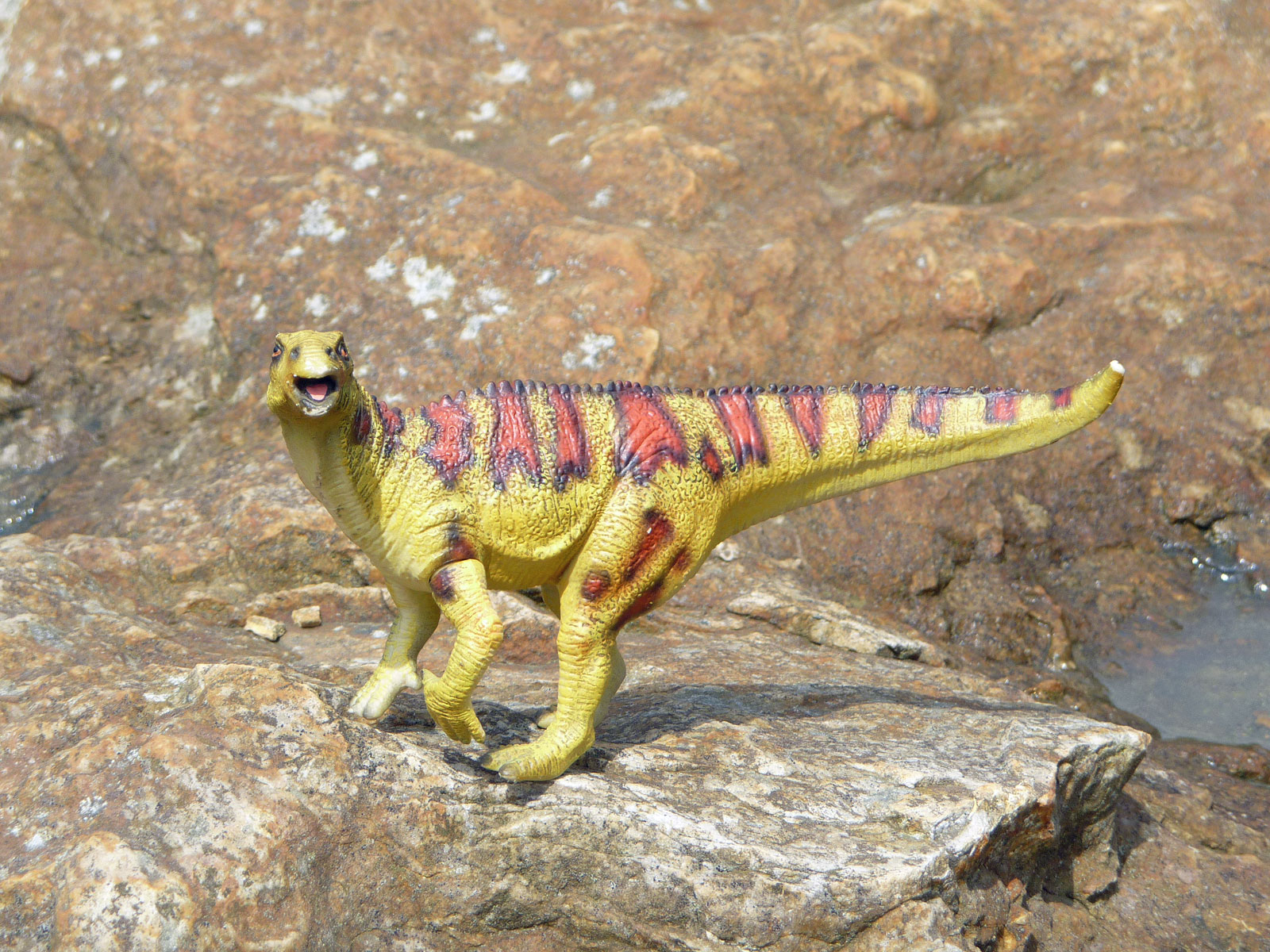 Bückeberg Iguanodon Spielzeug