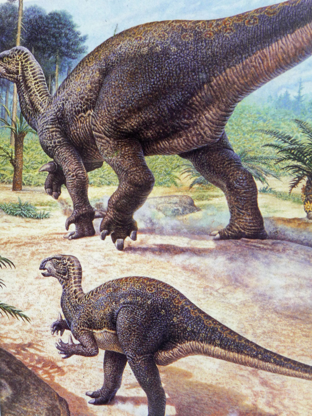 Bückeberg Dinos Grafik