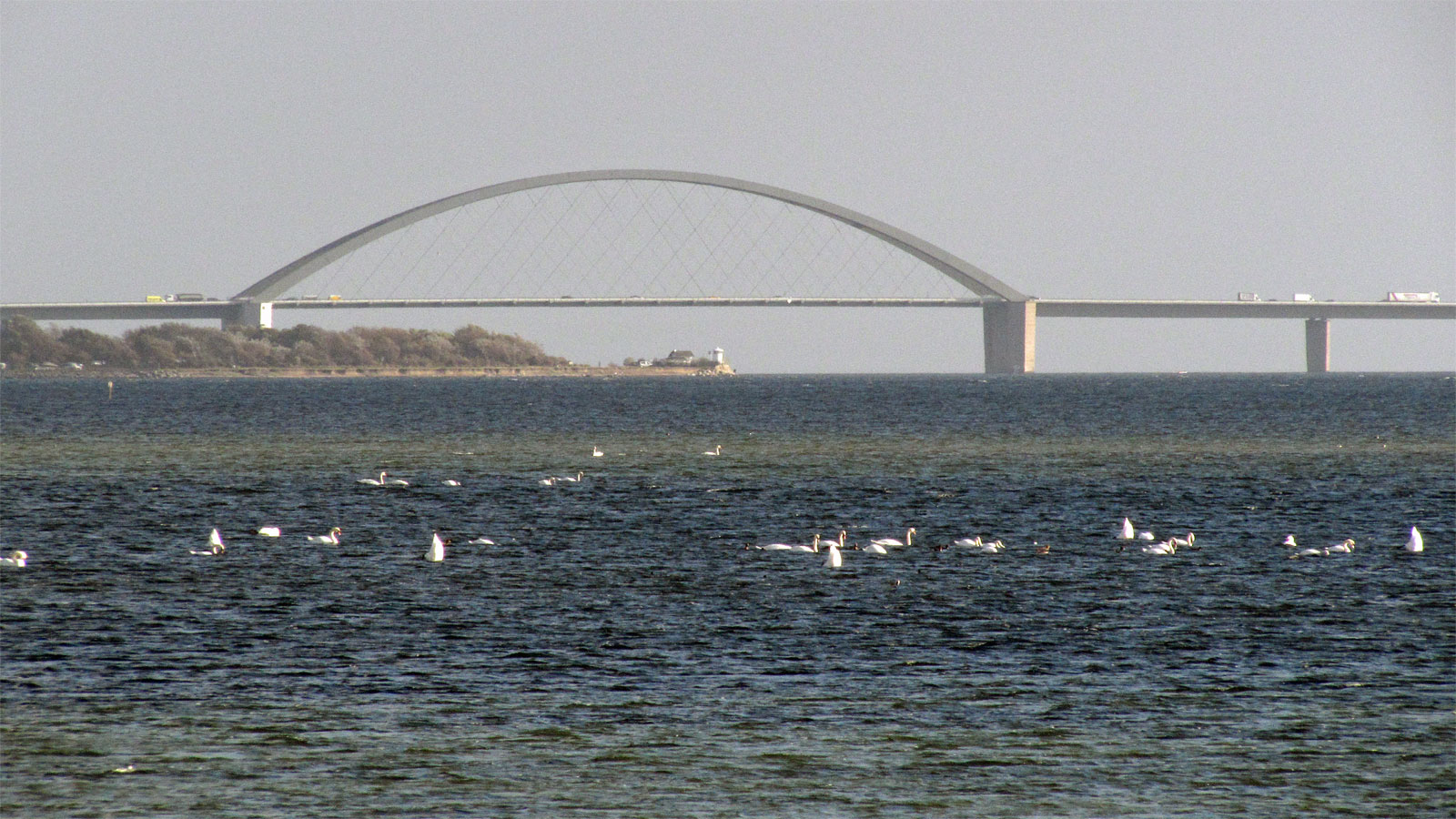 Fehmarn Blick auf Fehmarn-Sund-Brücke