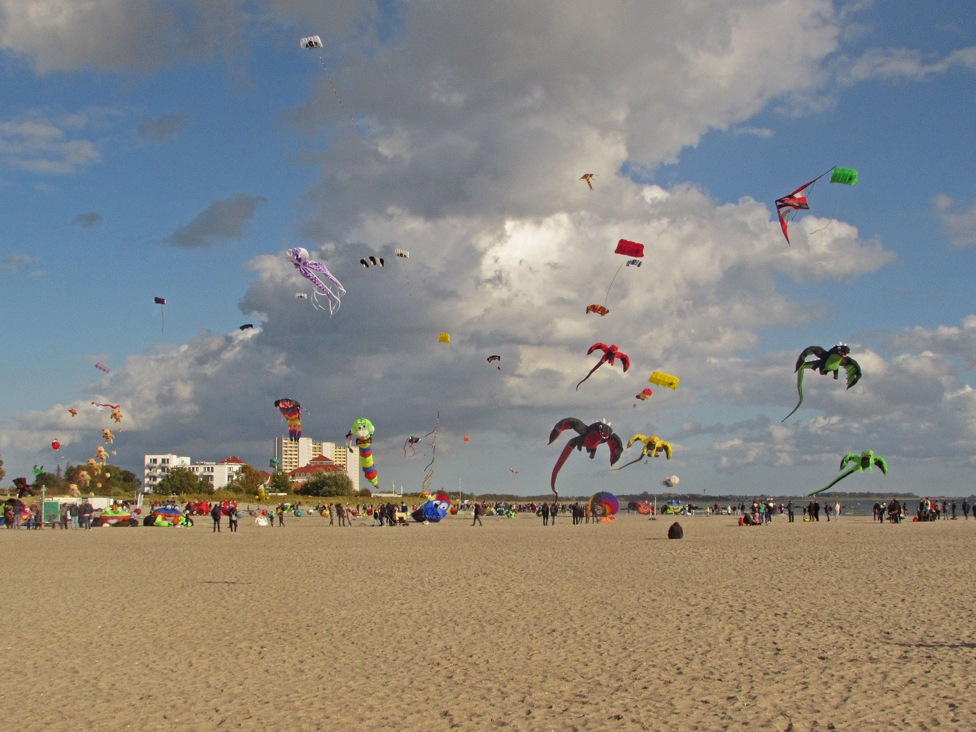 Fehmarn Burgtiefe Drachenfest