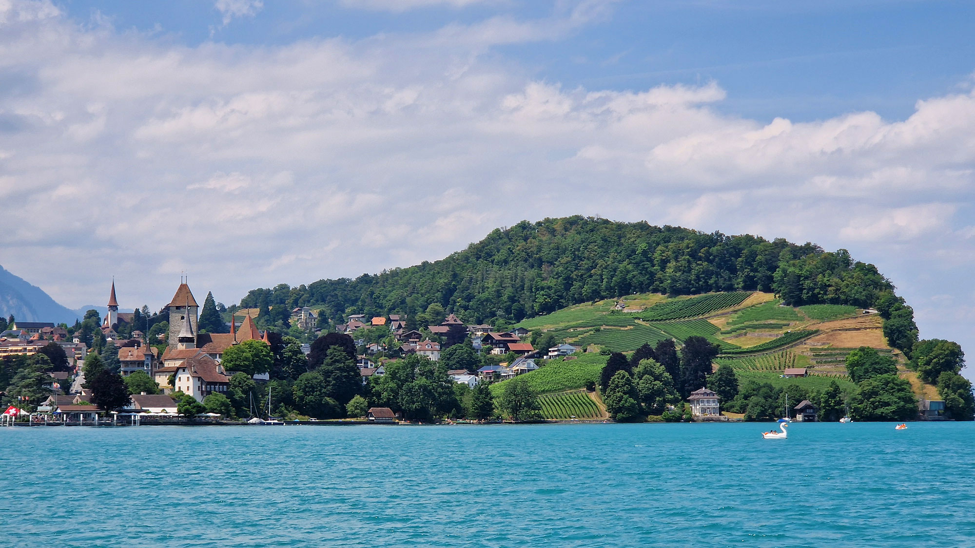 Thuner See Spiez Rebberg