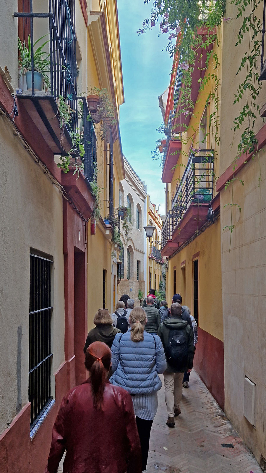 Sevilla Altstadt 4