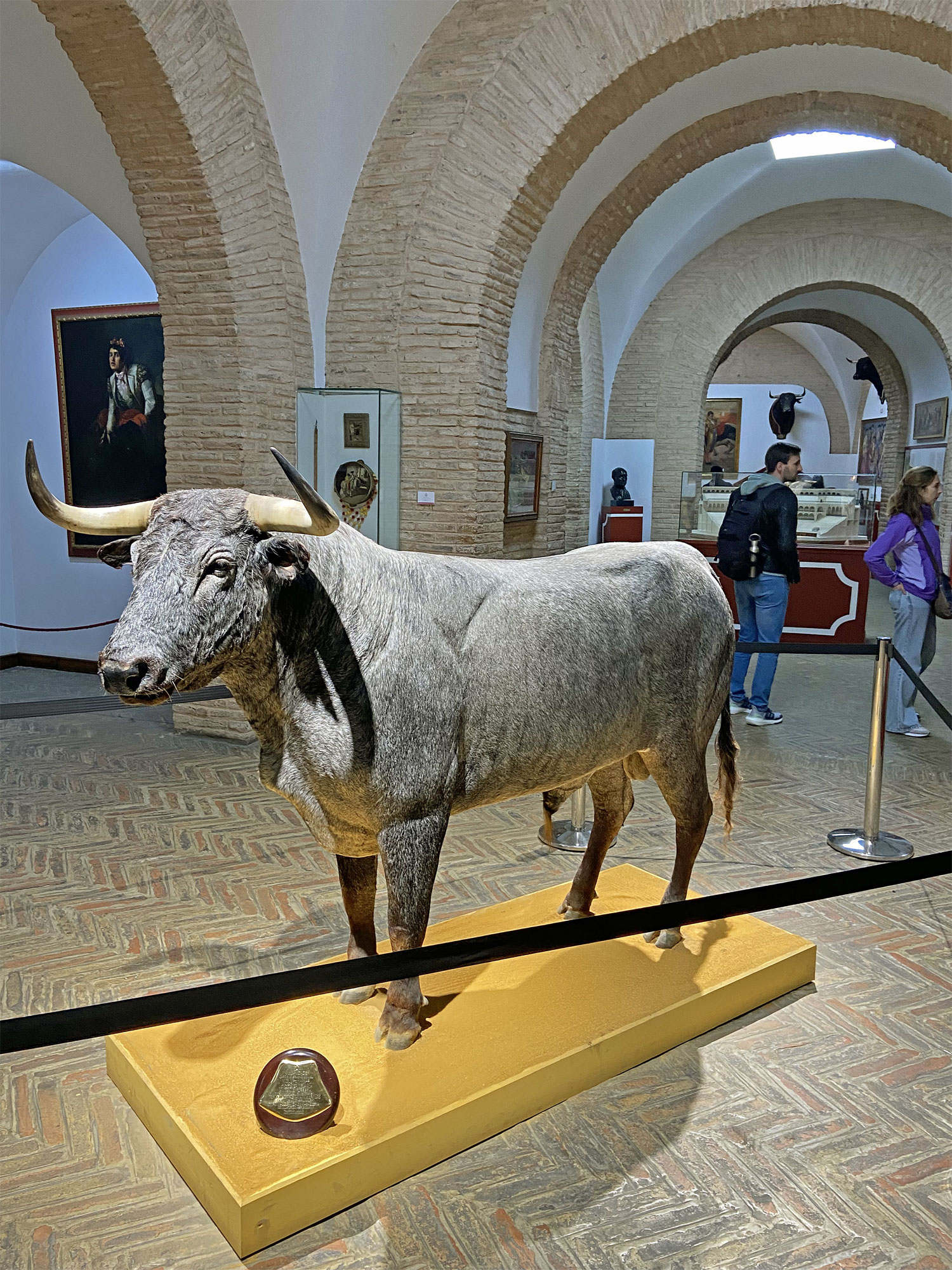 Sevilla Stierkampfmuseum innen