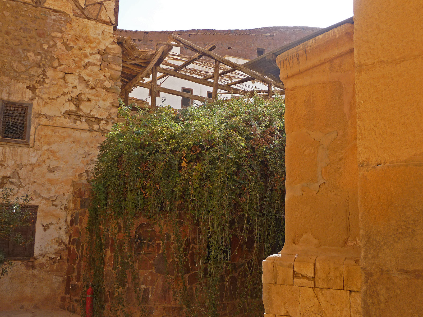 Sinai Katharinenkloster Dornbusch