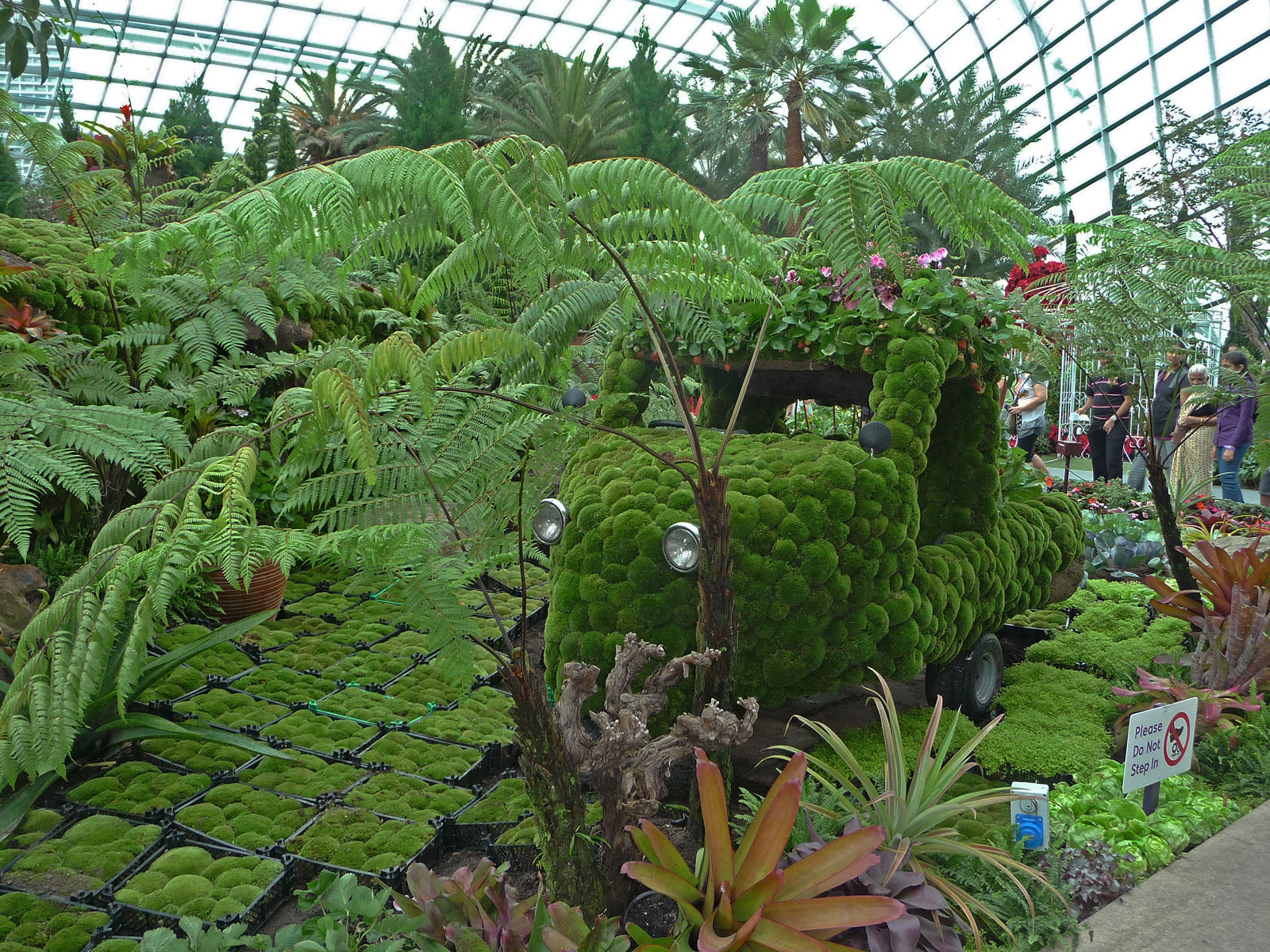 Singapur extra18