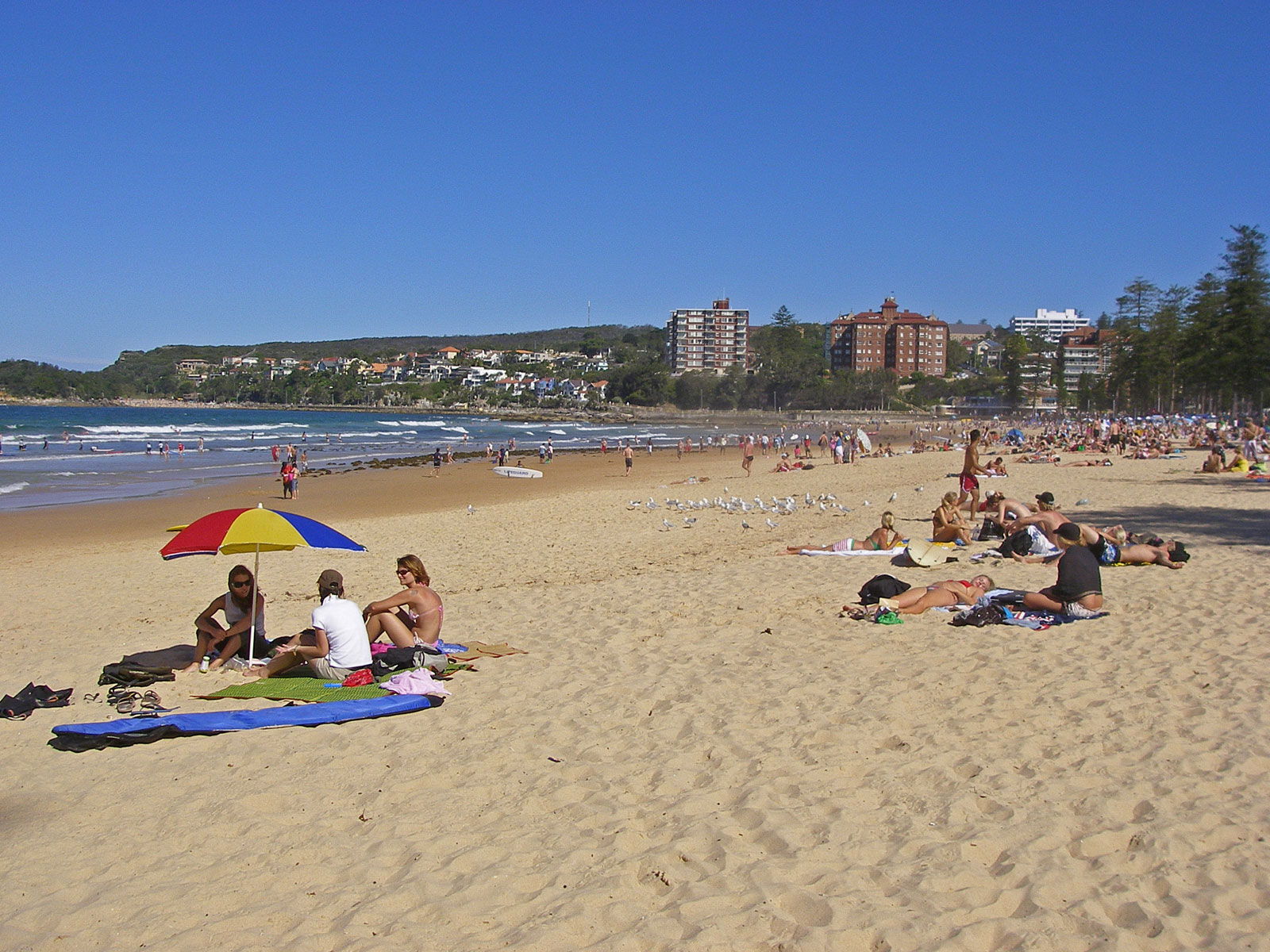 Sydney 3 extra17