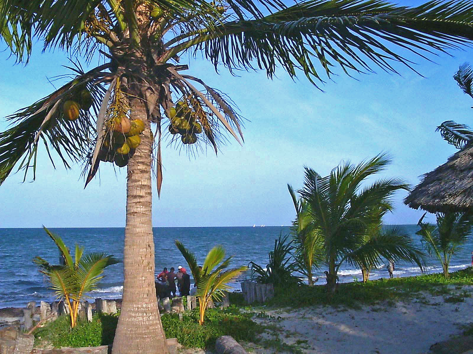 Tansania Bagamoyo Strand mit Palmen