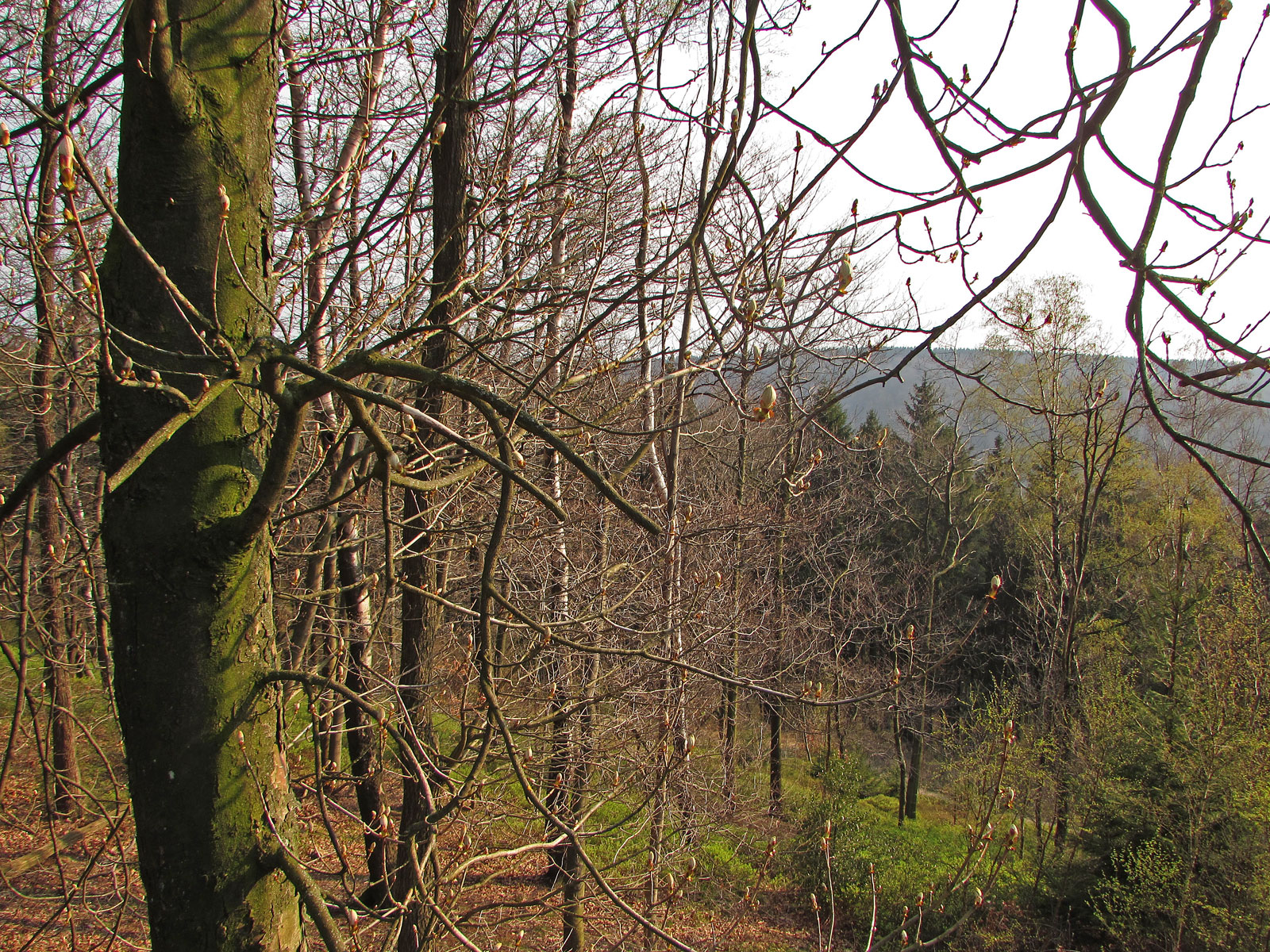 Hermannsdenkmal Blick zum Teutoburger Wald
