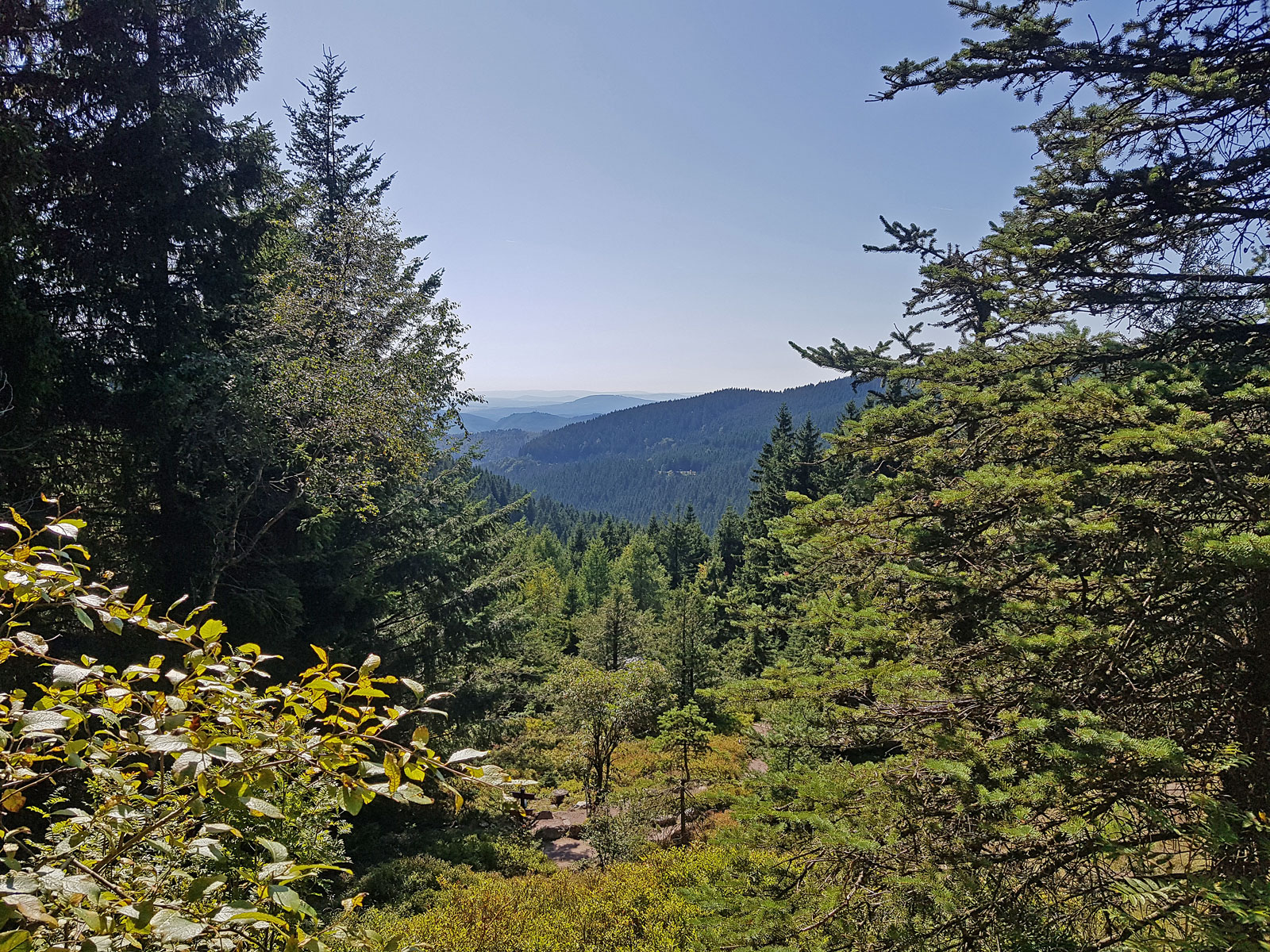 Oberhof Thüringer Wald Panorama