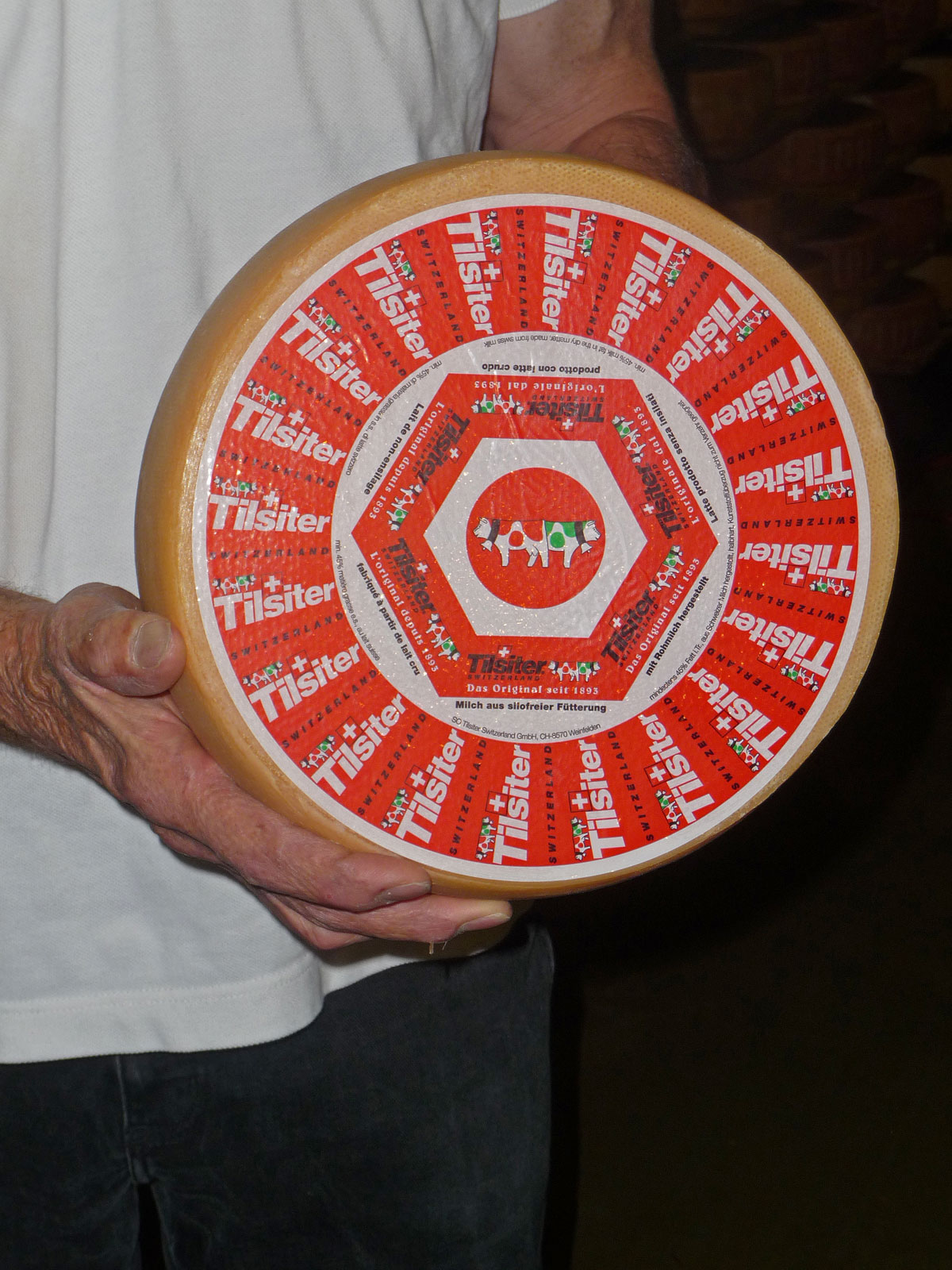 Thurgau Tilsit Käselaib