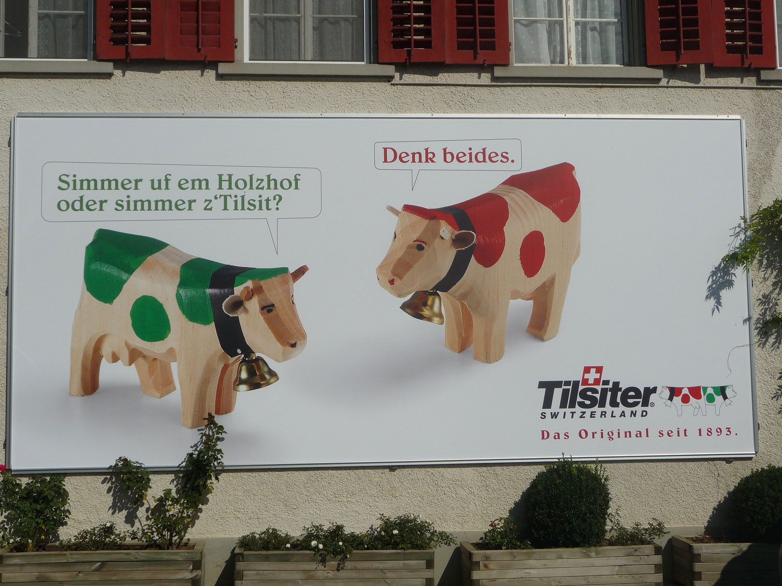 Thurgau Tilsit Werbeplakat mit Kühen