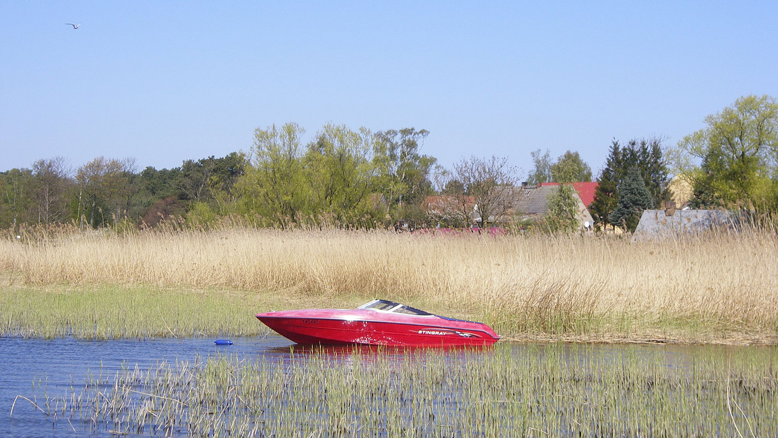 Usedom Achterwasser Motorboot Stingray