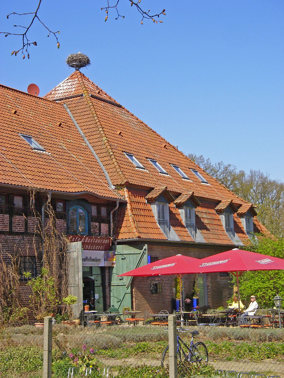 Usedom Mellenthin Storchennest auf Dach