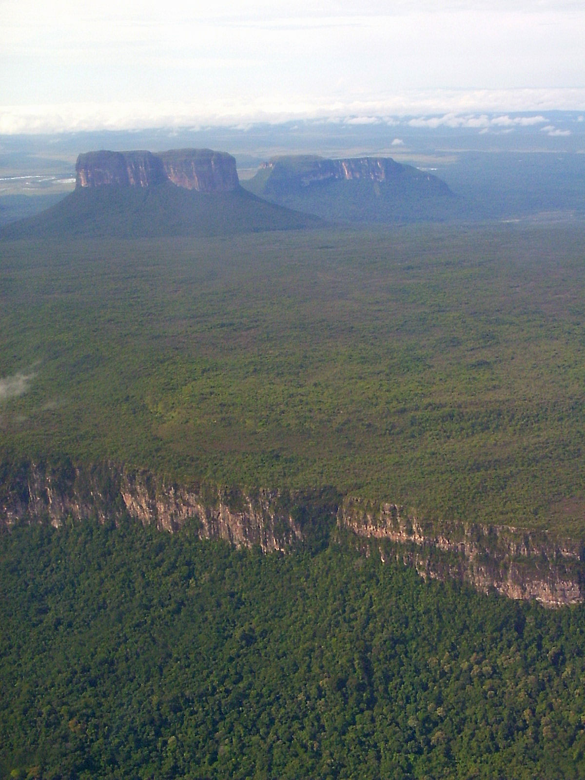 Venezuela Gran Sabana Tepuis aus der Luft