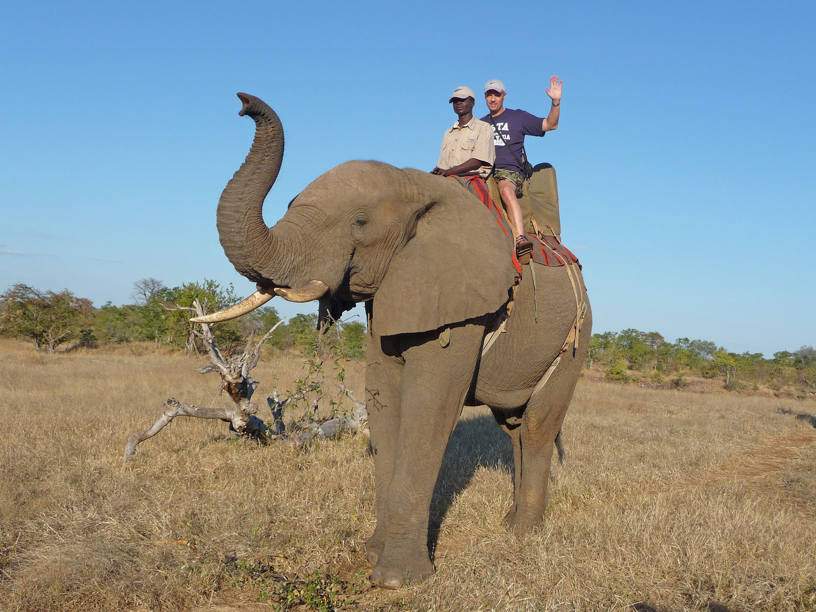 Victoria Falls Wild Horizons Elephant Ausritt mit Elefanten Erinnerungsfoto