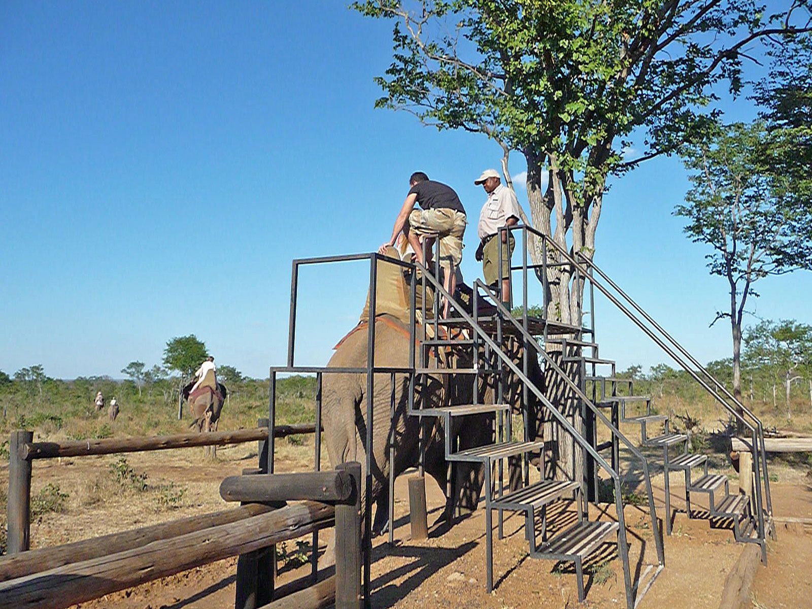 Victoria Falls Wild Horizons Elephant Sanctuary Ausritt mit Elefanten Start