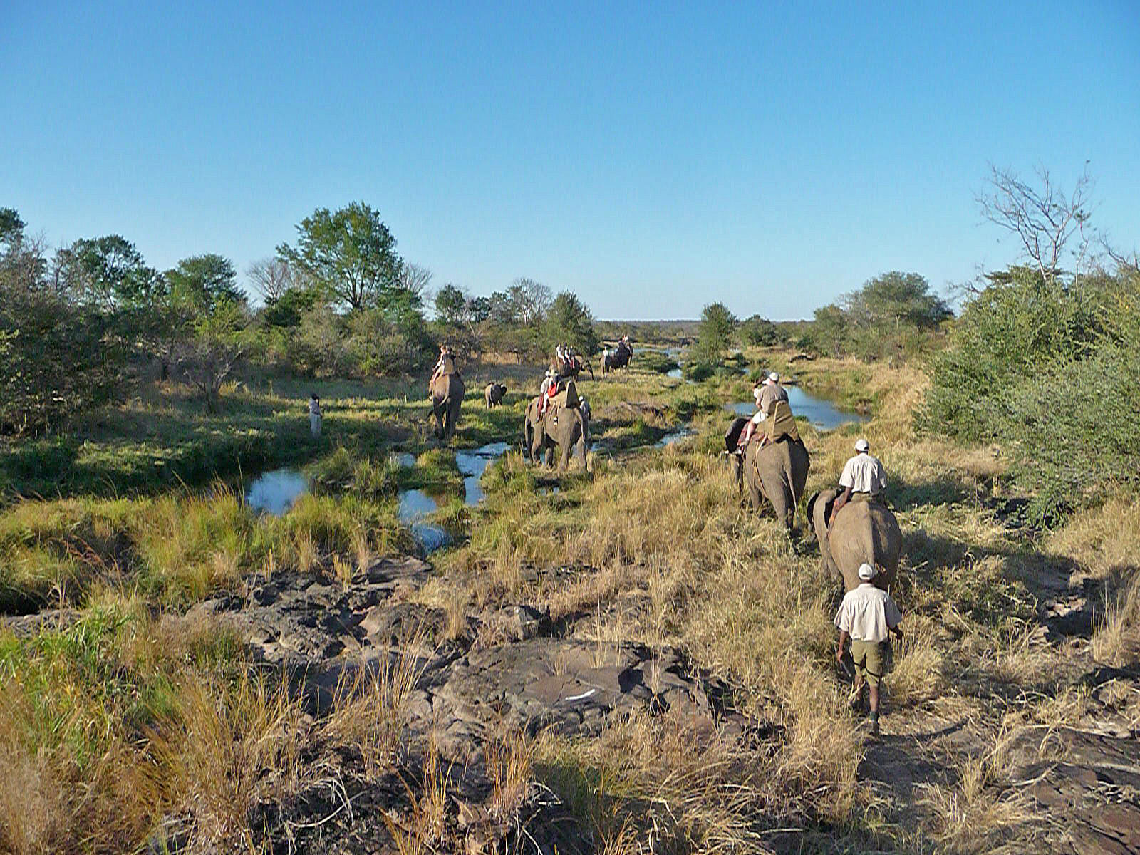 Victoria Falls Wild Horizons Elephant Sanctuary Ausritt mit Elefanten Totale