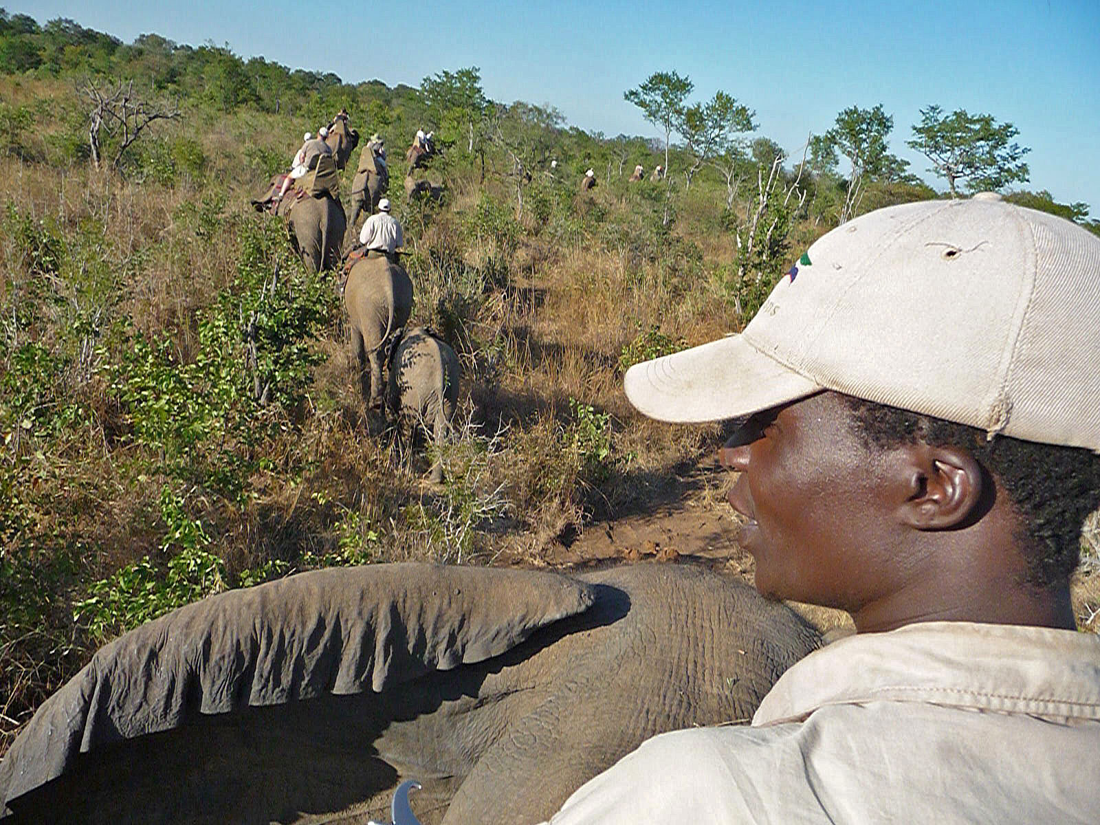 Victoria Falls Wild Horizons Elephant Sanctuary Elefantenführer groß