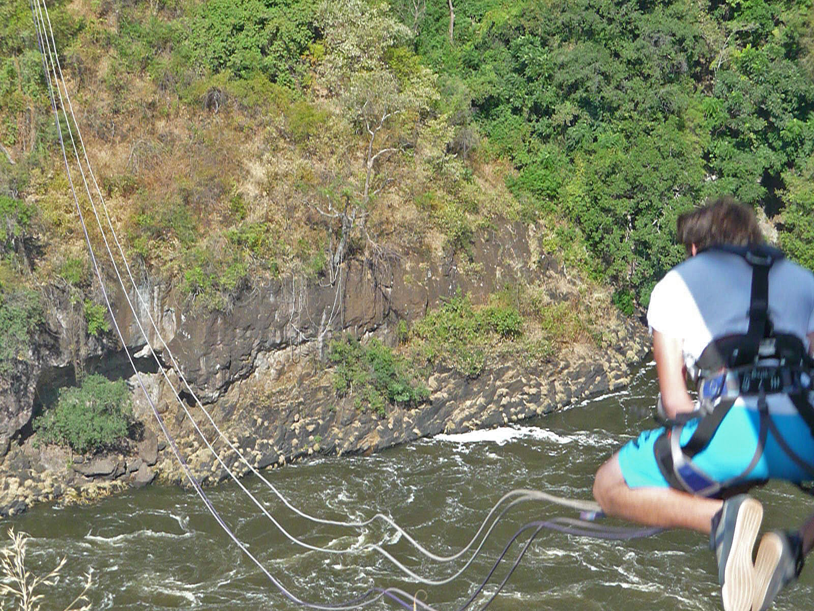 Victoria Falls Canopy