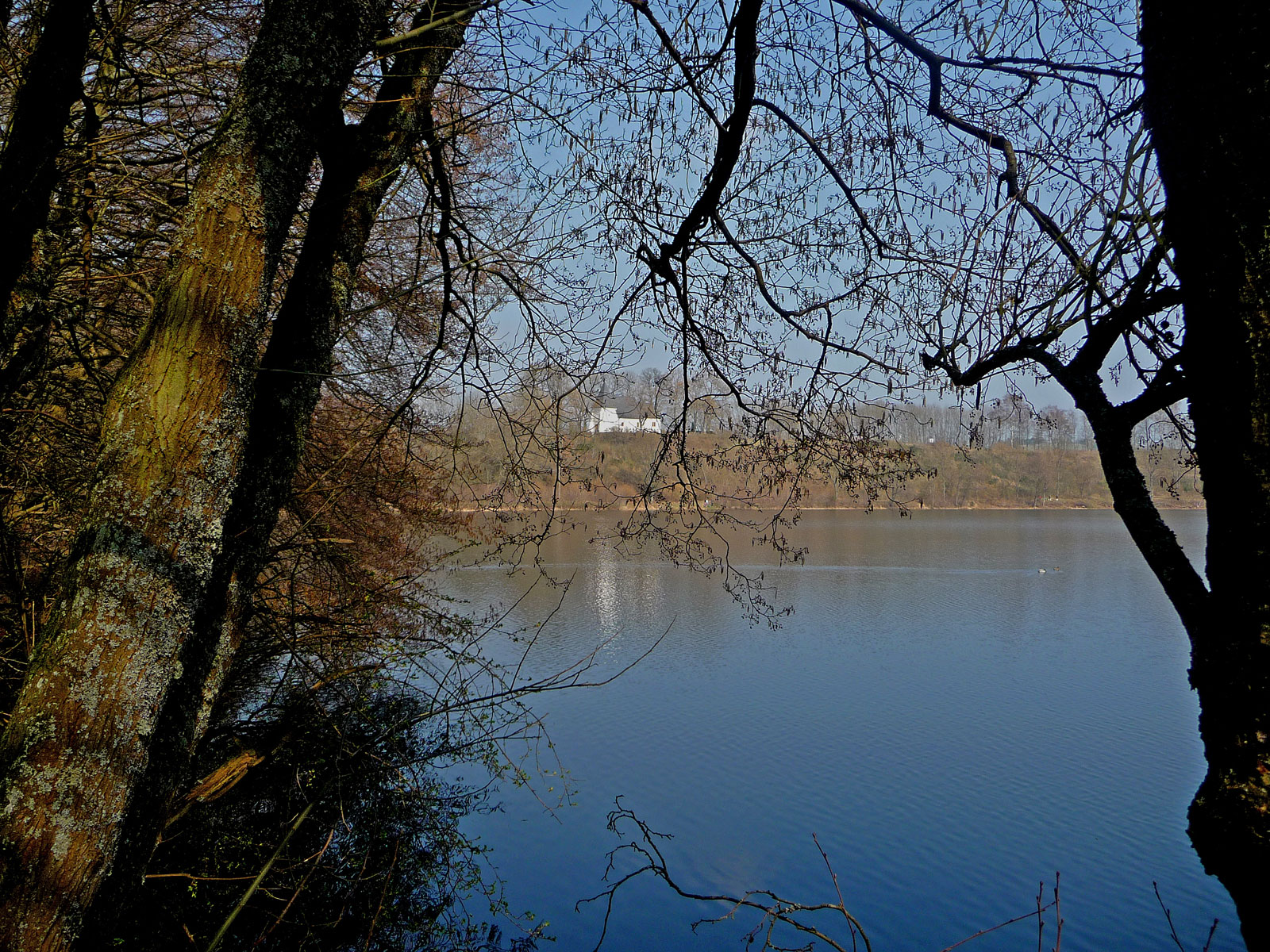 Vulkaneifel Totenmaar Weinfelder Kapelle