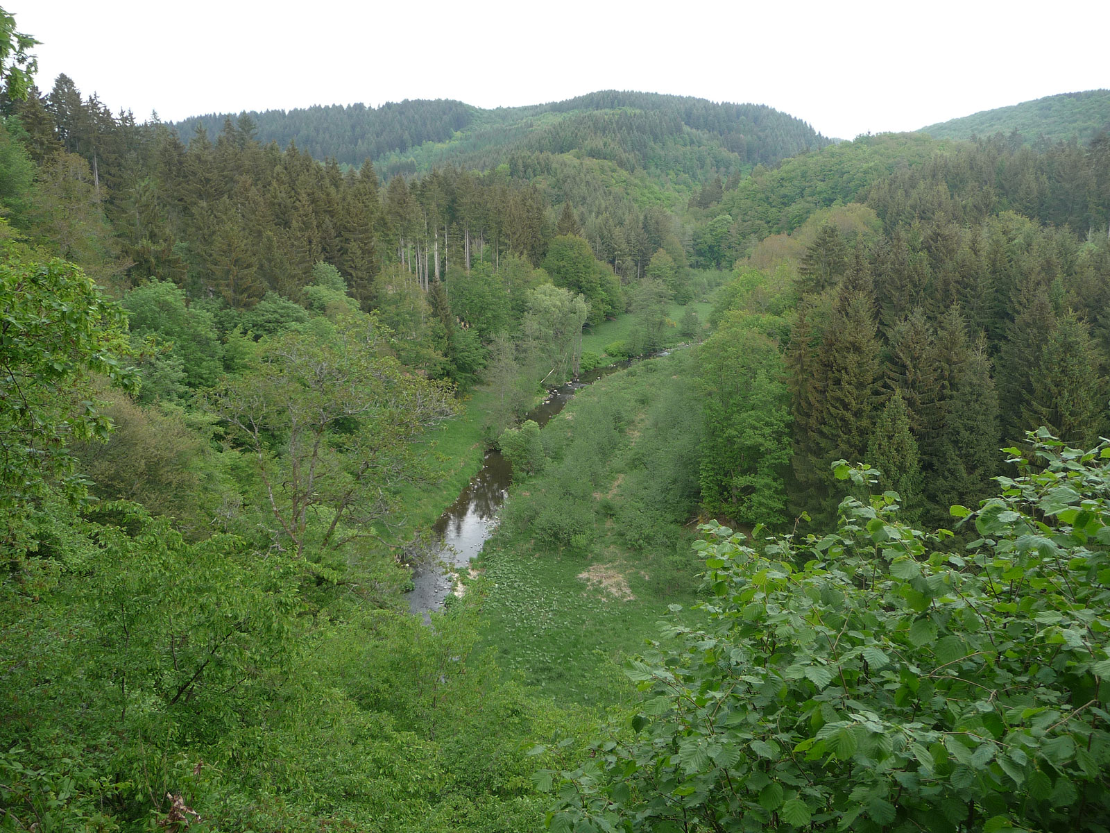 Vulkaneifel Lieser von oben