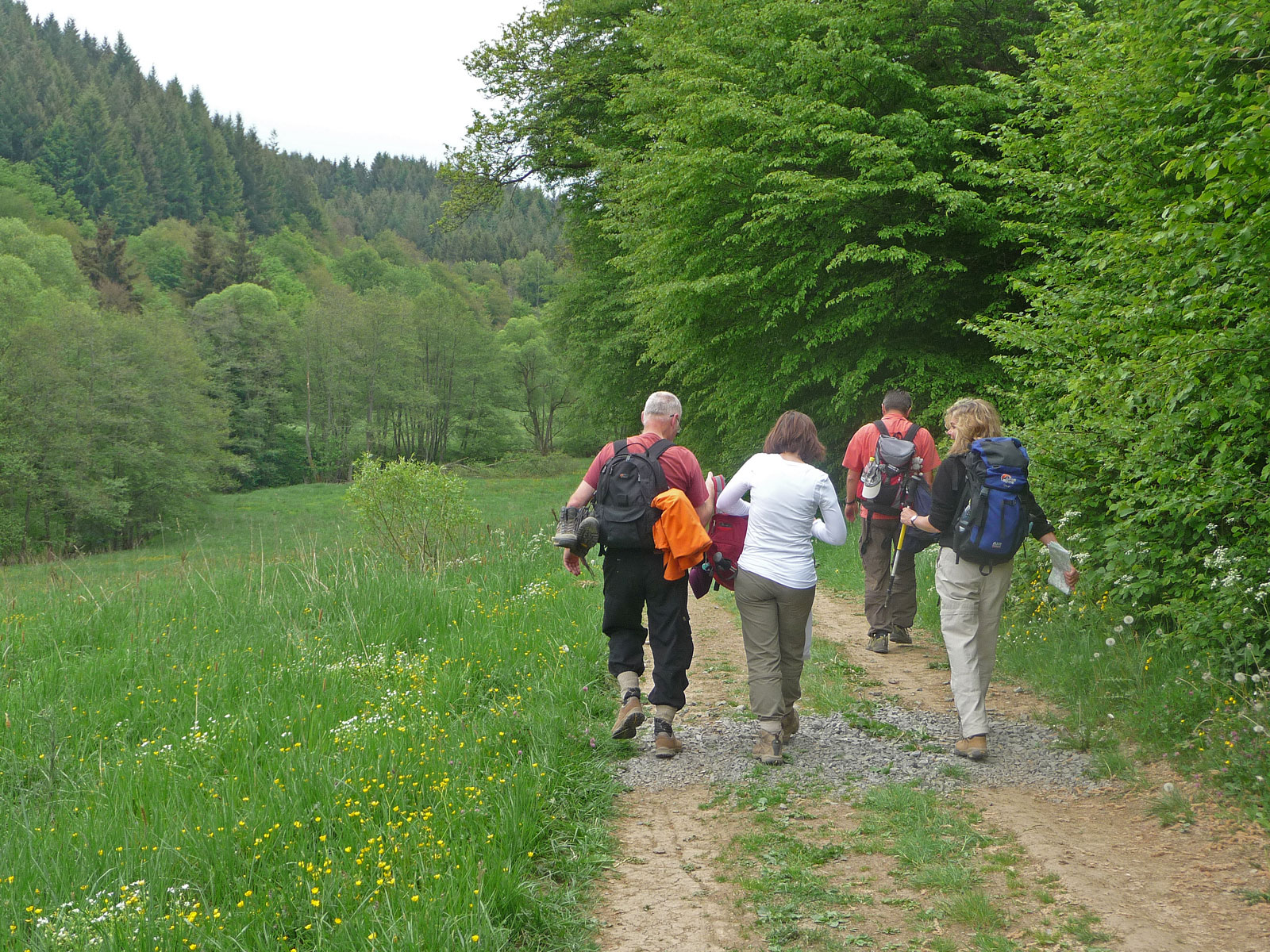 Vulkaneifel Lieserpfad Wandergruppe