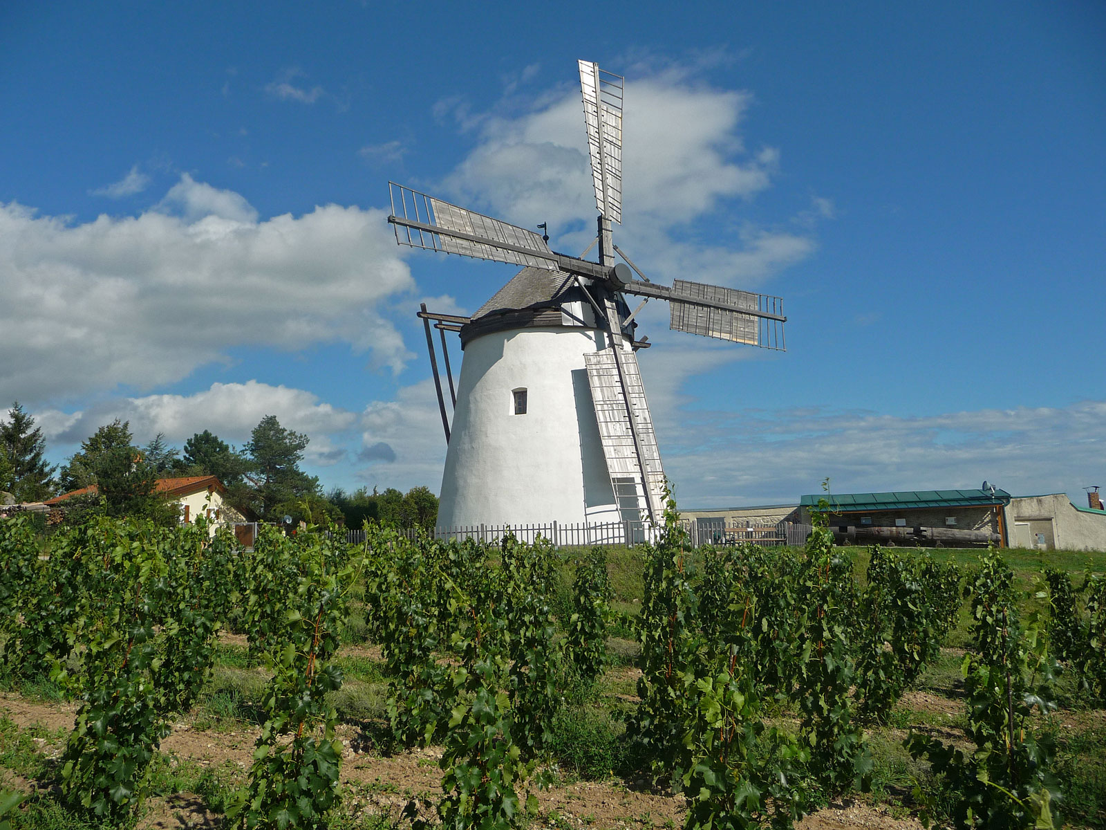 Weinviertel Retz Windmühle