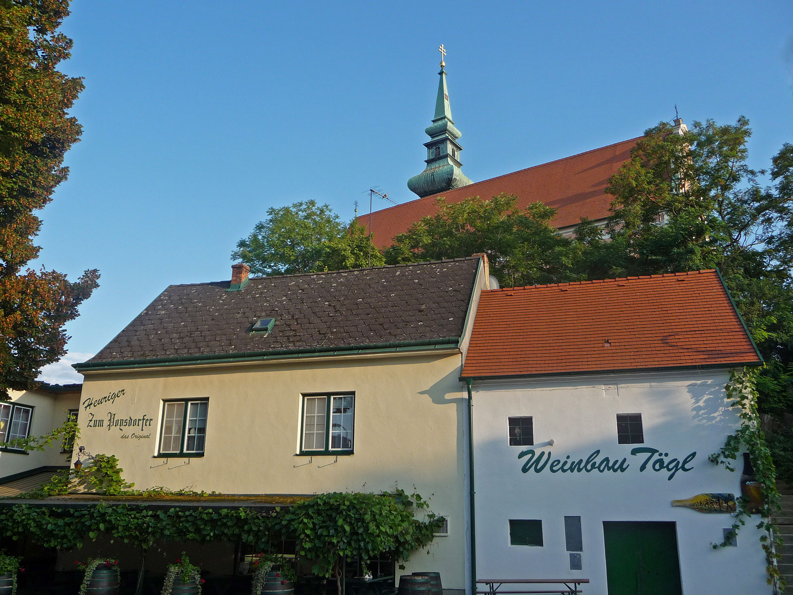 Weinviertel Poysdorf Weingut Tögl