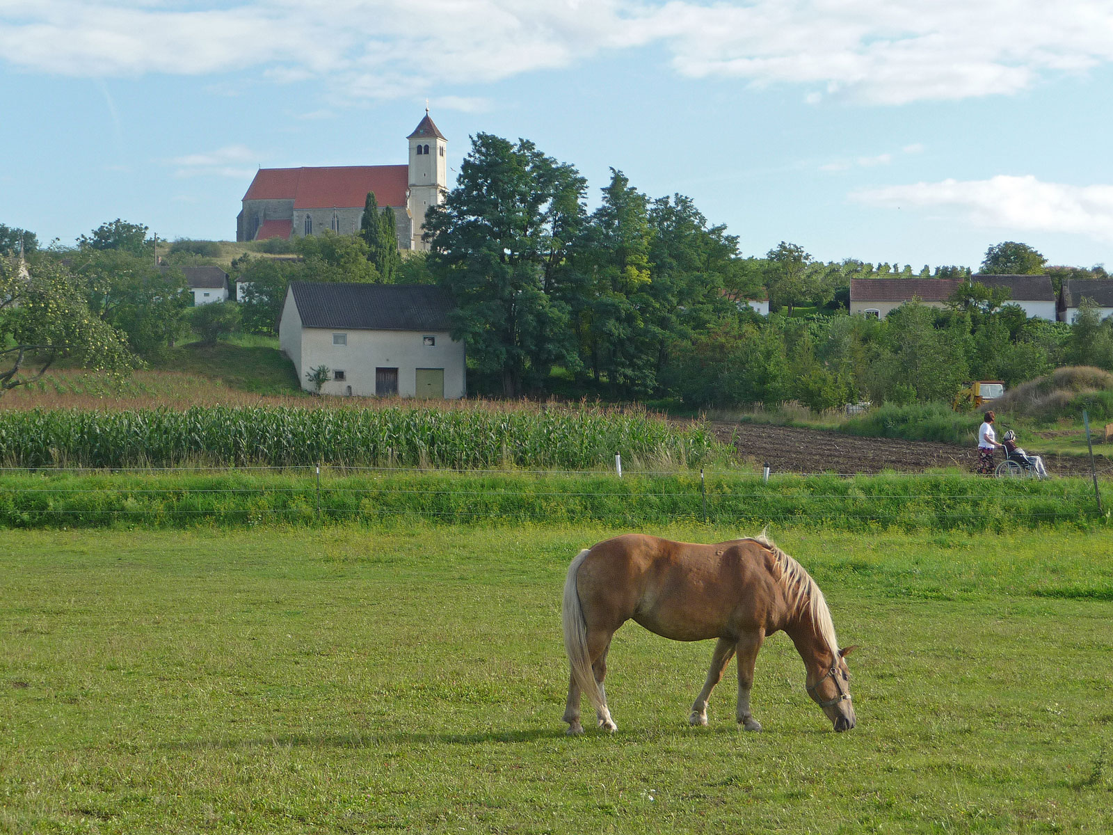Wartberg Weinviertel