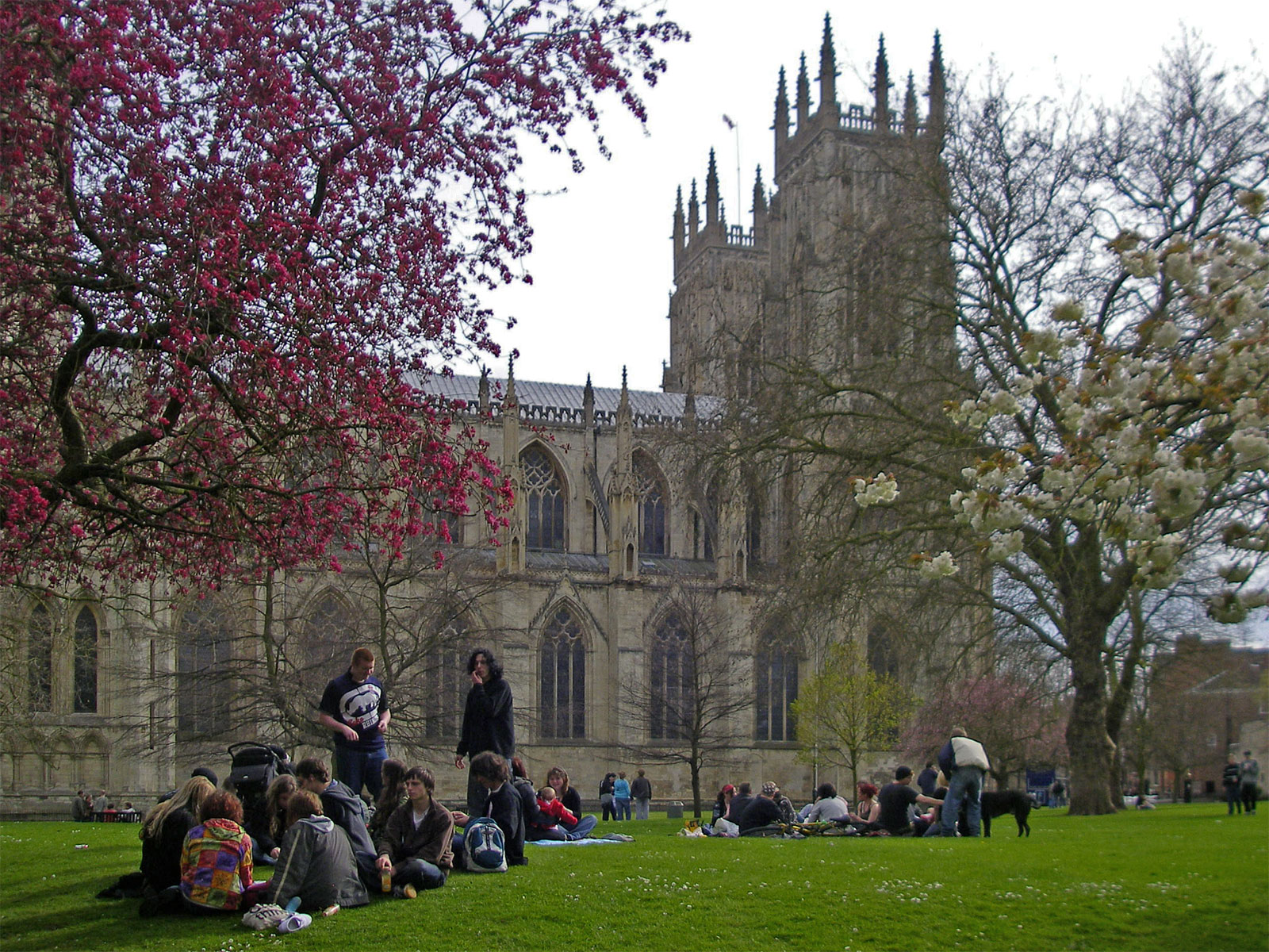 York Münster außen Frühling