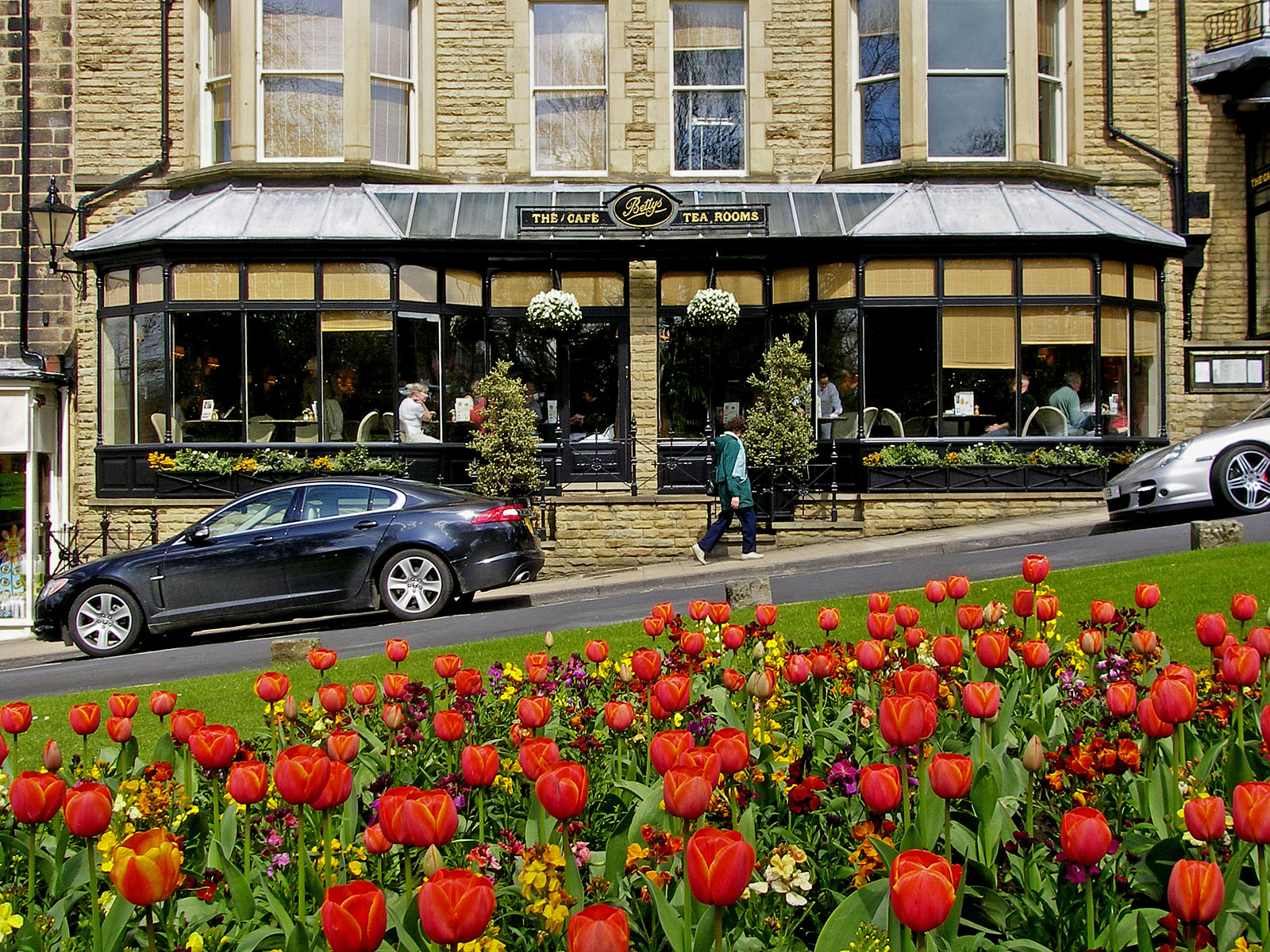 Yorkshire Harrogate Betty's Cafe and Tearooms mit Tulpen