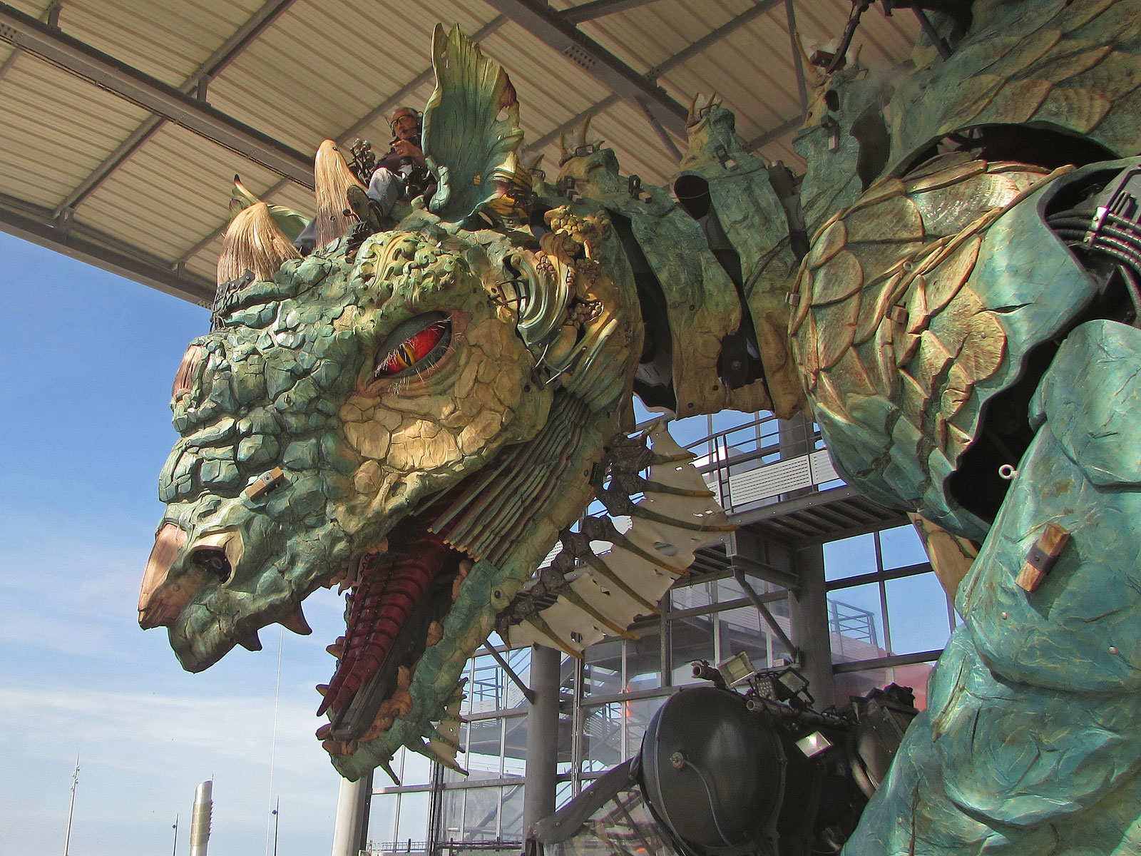 Calais Drache Maul