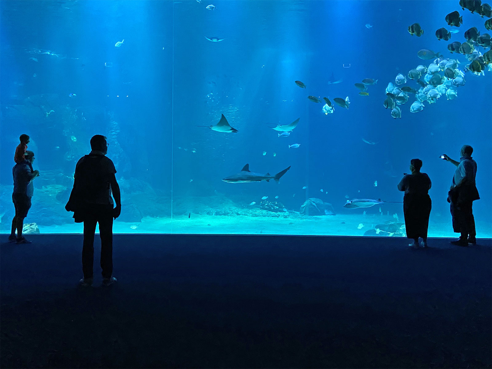 Boulogne-sur-Mer Aquarium