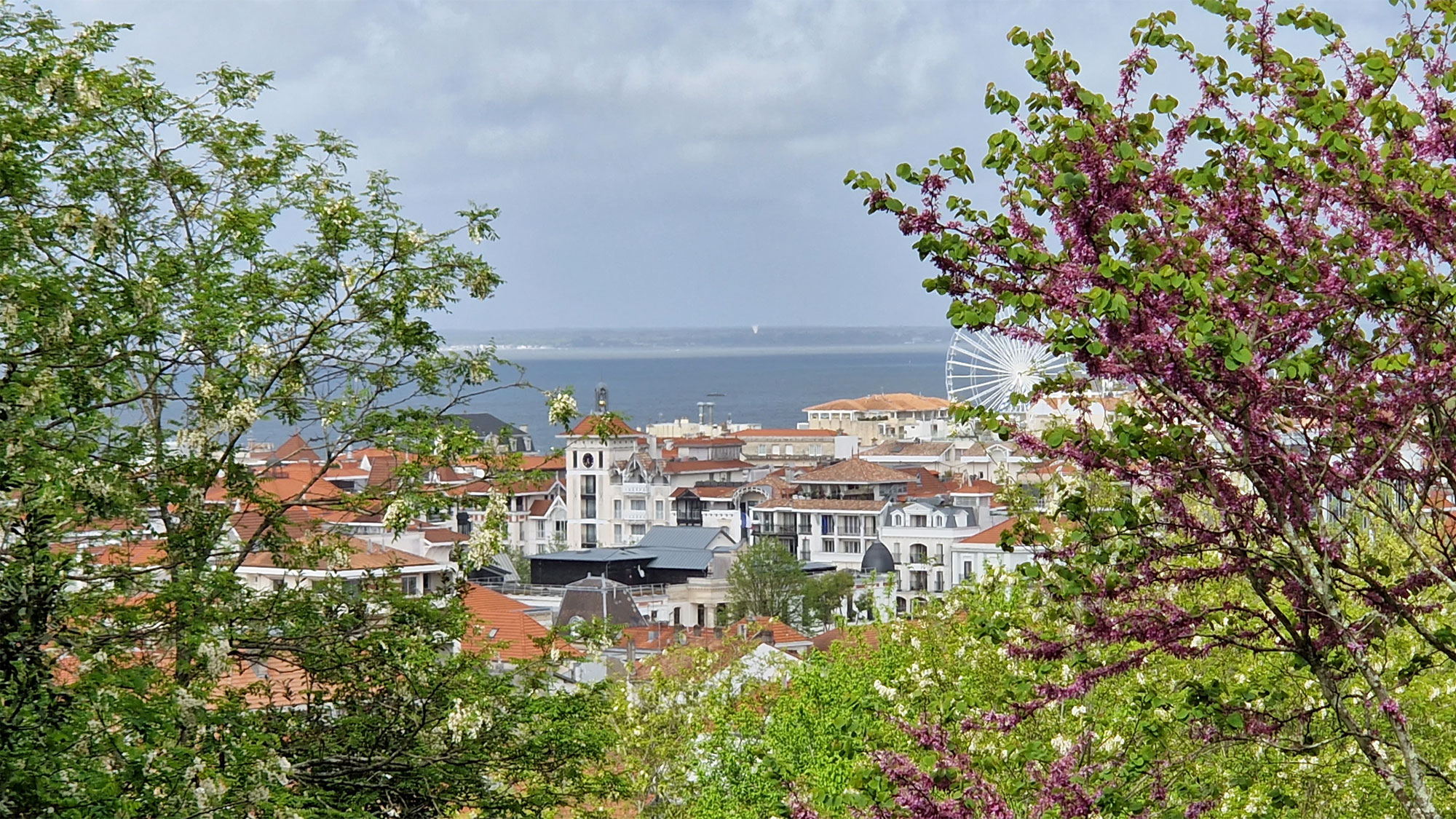 Arcachon Oberservatoire Cecile Ausblick