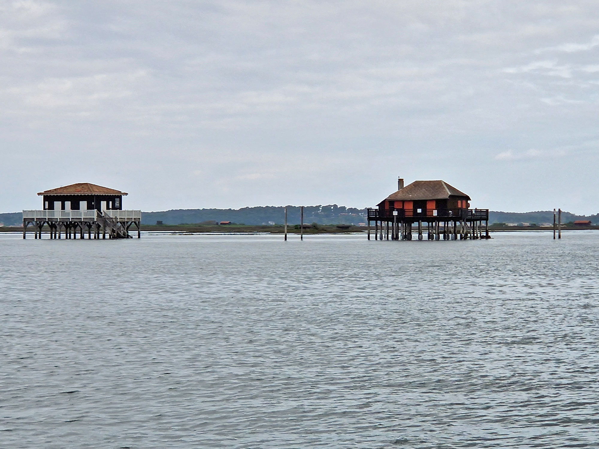Arcachon Vogelinsel