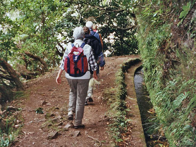 Madeira Wandertour Levadas