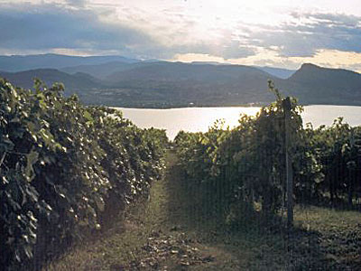 British Columbia Okanagan Weinbau