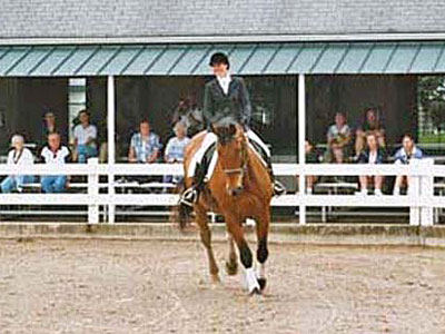 Lexington Kentucky Horse Park Dressur Show