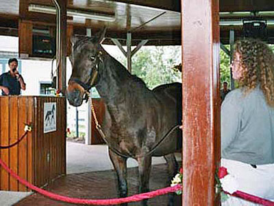 Lexington Kentucky Horse Park Wallach John Henry